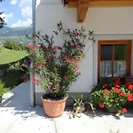 Ganzer *